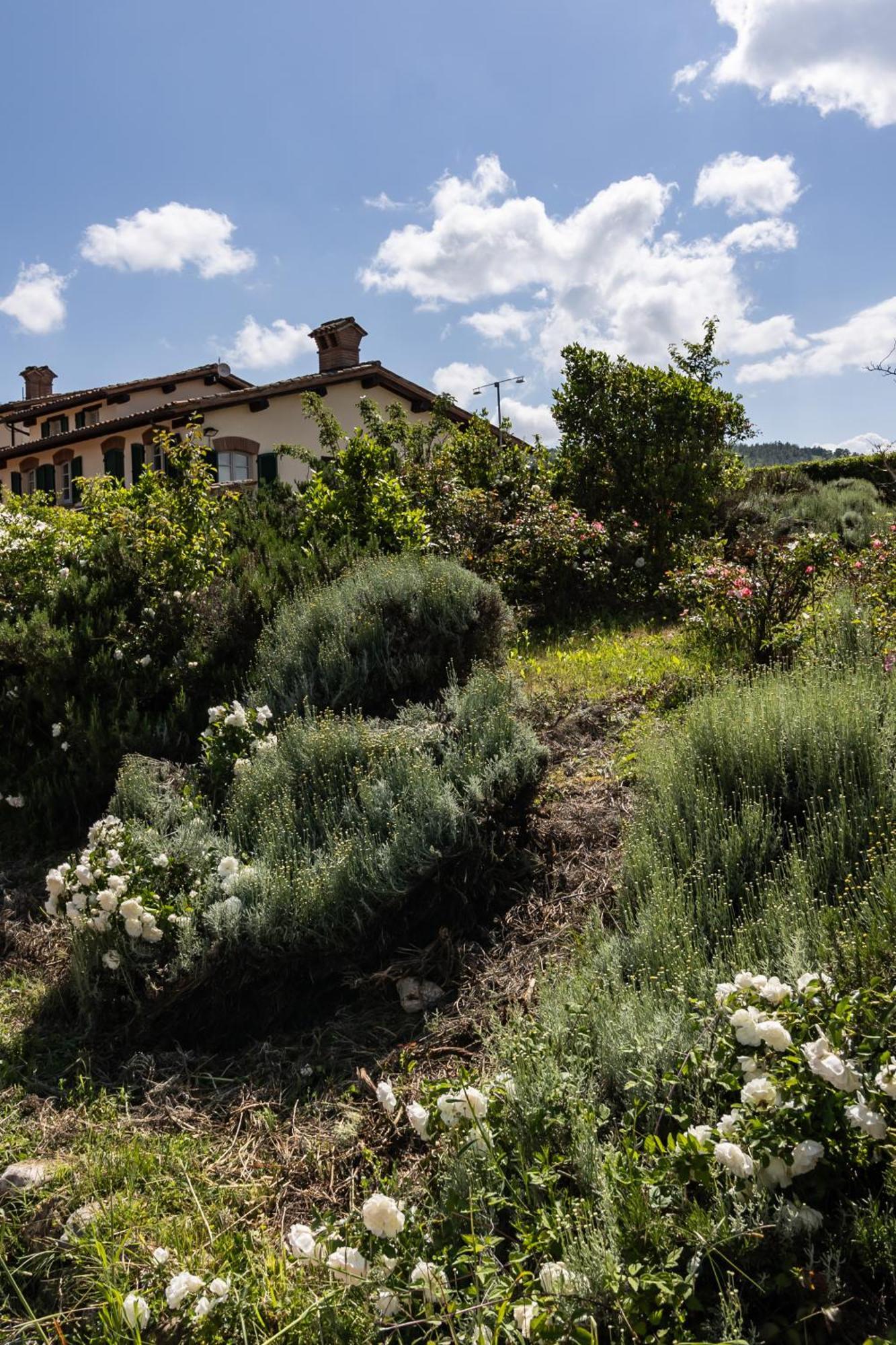 Tenuta Borgo San Michele Gubbio Exterior photo